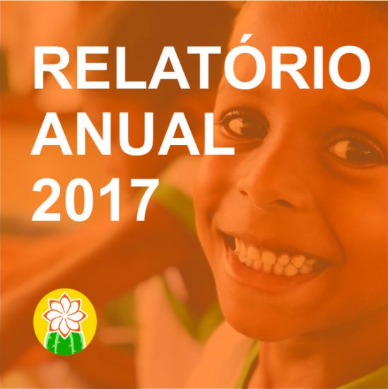 Relatório Anual 2017